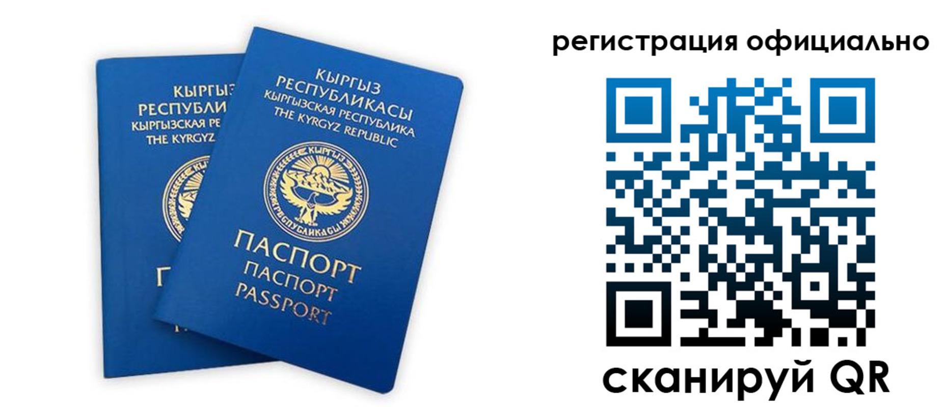 прописка поиск в Боброве
